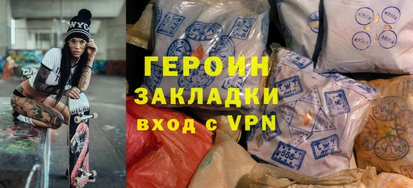индика Гусев