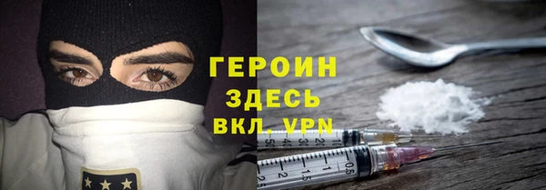 индика Гусев