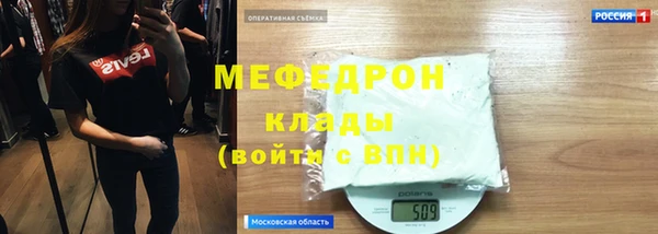 индика Гусев