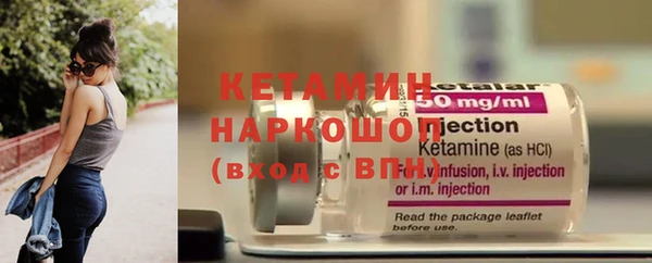 индика Гусев