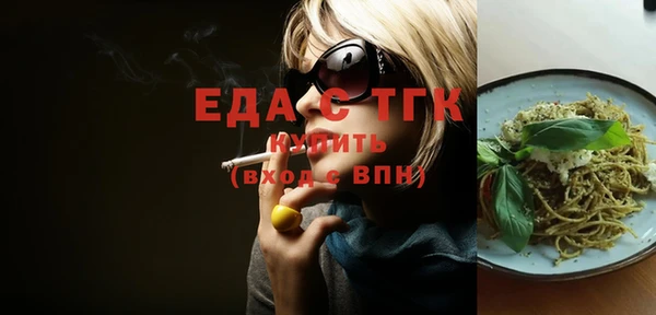 индика Гусев