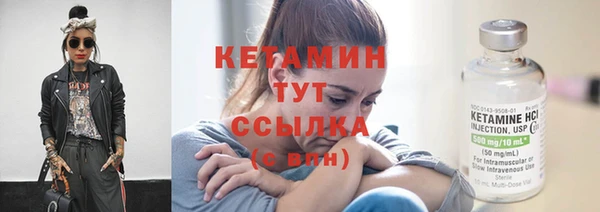 индика Гусев