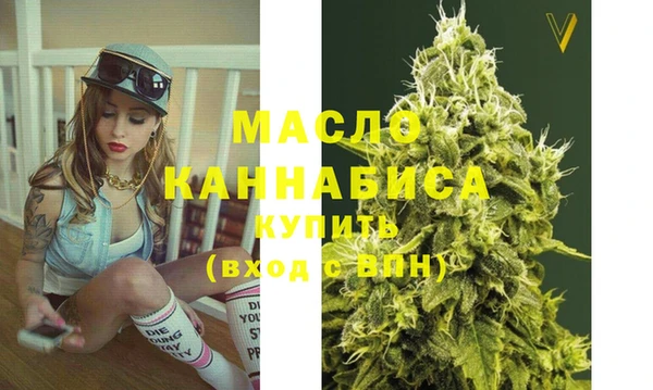 индика Гусев
