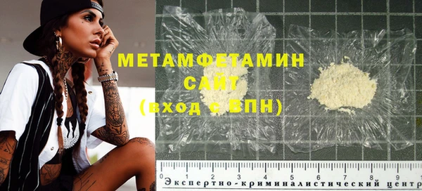 индика Гусев