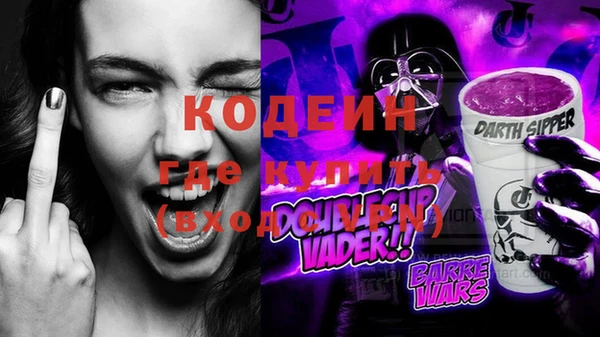 индика Гусев
