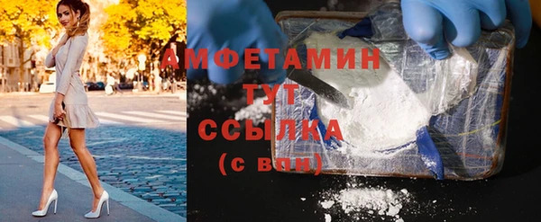 индика Гусев
