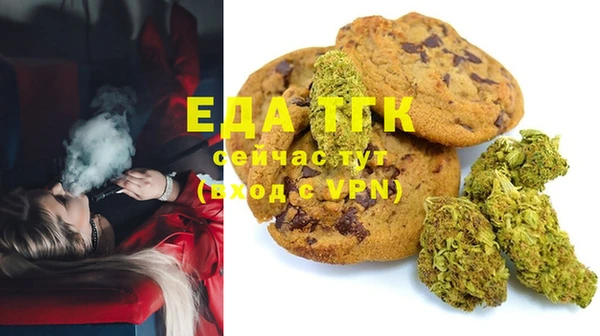индика Гусев