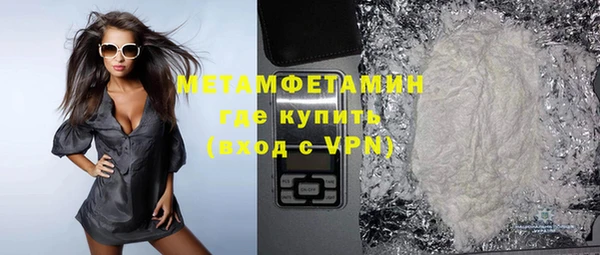 индика Гусев