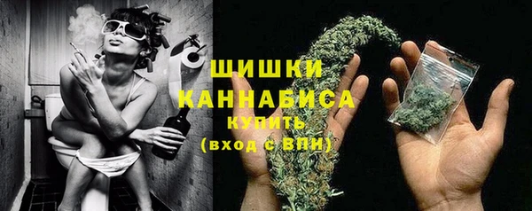 2c-b Гусиноозёрск