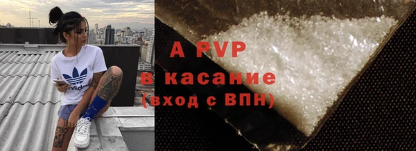 индика Гусев