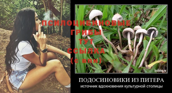 2c-b Гусиноозёрск